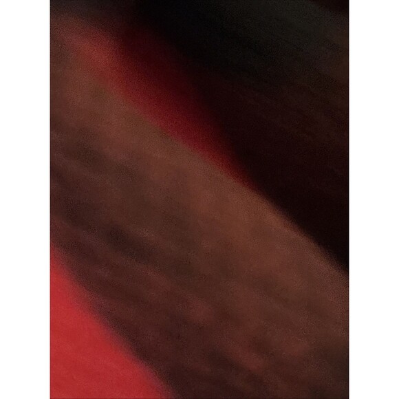 Chaps Ralph Lauren Women’s NWT BUFFALO PLAID Vest Multicolor Full Zip Ski Cabin - Picture 9 of 16